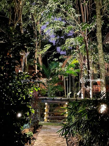 For Sale - bamboo hideaway resort, Trat