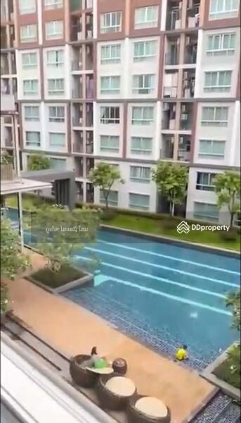 วิวสระ ดี คอนโด ไมน์ 1 ห้องนอน, ภูเก็ต, Soi Tonpho, กะทู้, ภูเก็ต, 30 ตร.ม., คอนโด ให้เช่า, โดย Bebe West, 3533921 - DDproperty.com