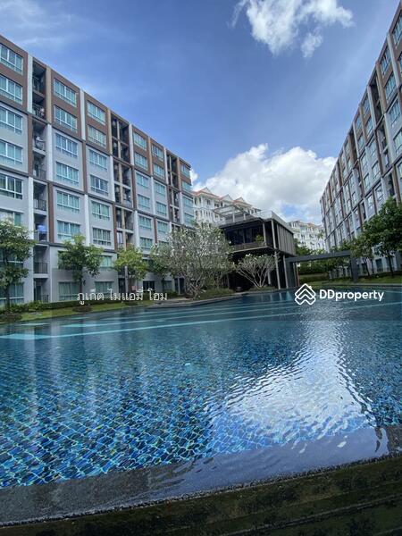 Pool View D condo Mine Bedroom For Rent, phuket, Soi Tonpho, Kathu, Phuket, 1 Bedroom, 30 sqm, Condo For Rent, by Bebe West, 3533921 - DDproperty.com