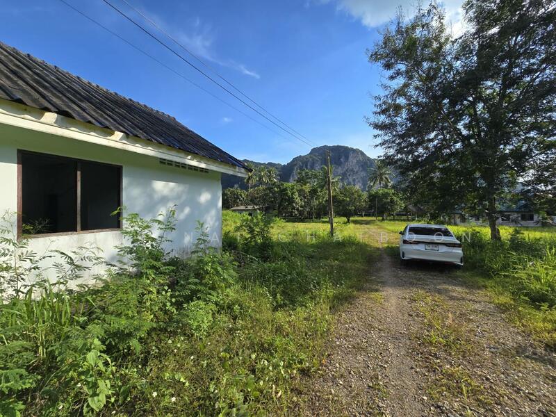 รายละเอียดโดยรอบ