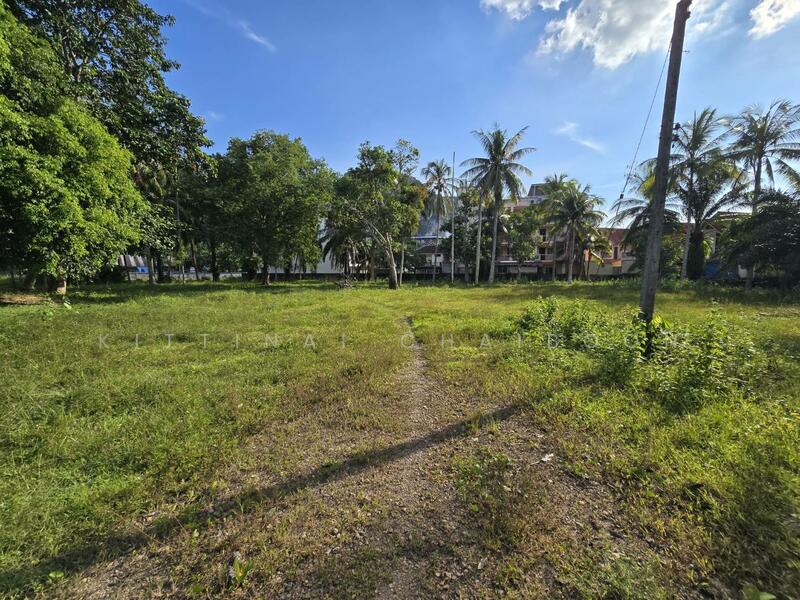 รายละเอียดโดยรอบ