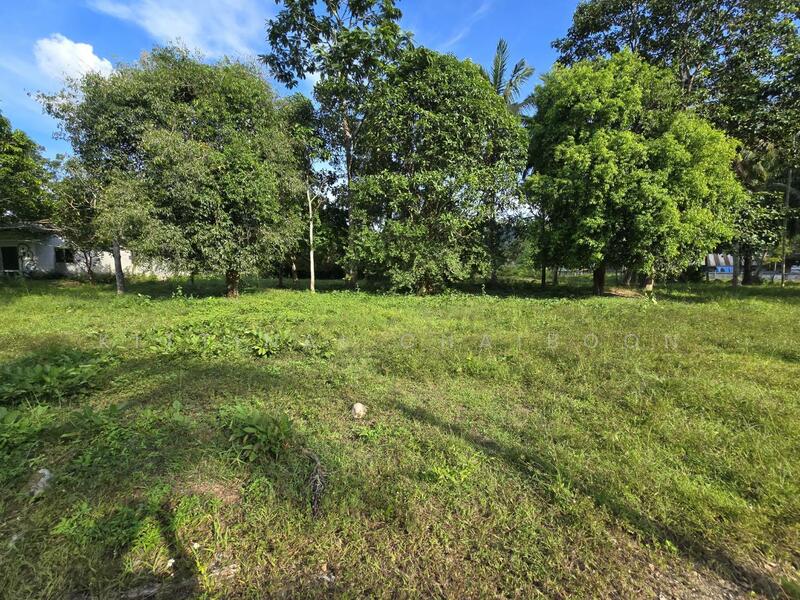 รายละเอียดโดยรอบ