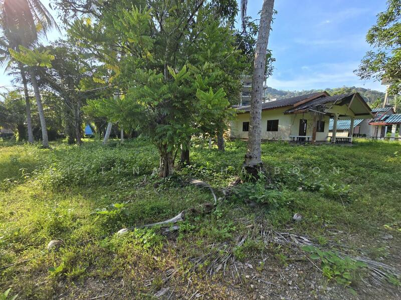 รายละเอียดโดยรอบ