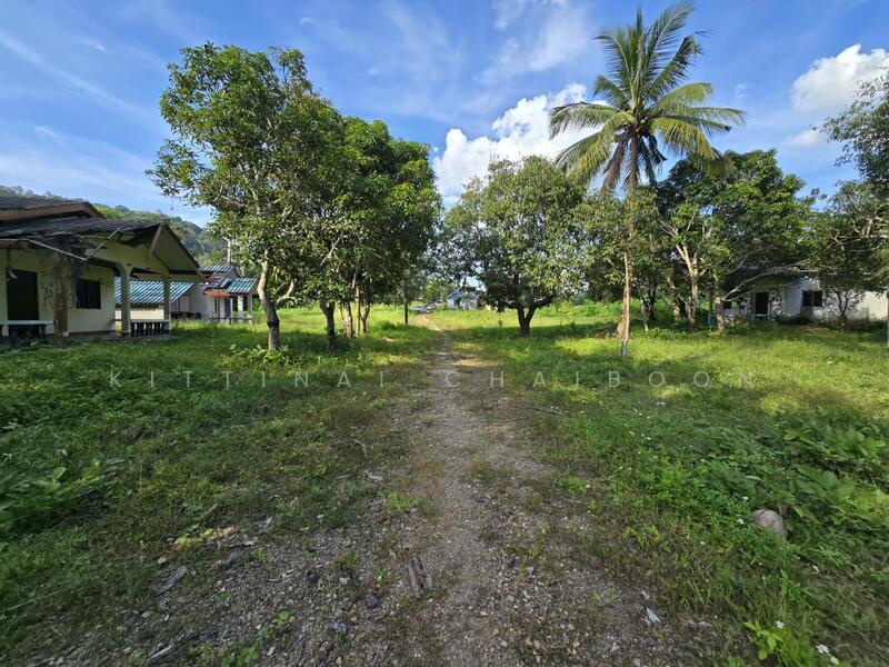 รายละเอียดโดยรอบ