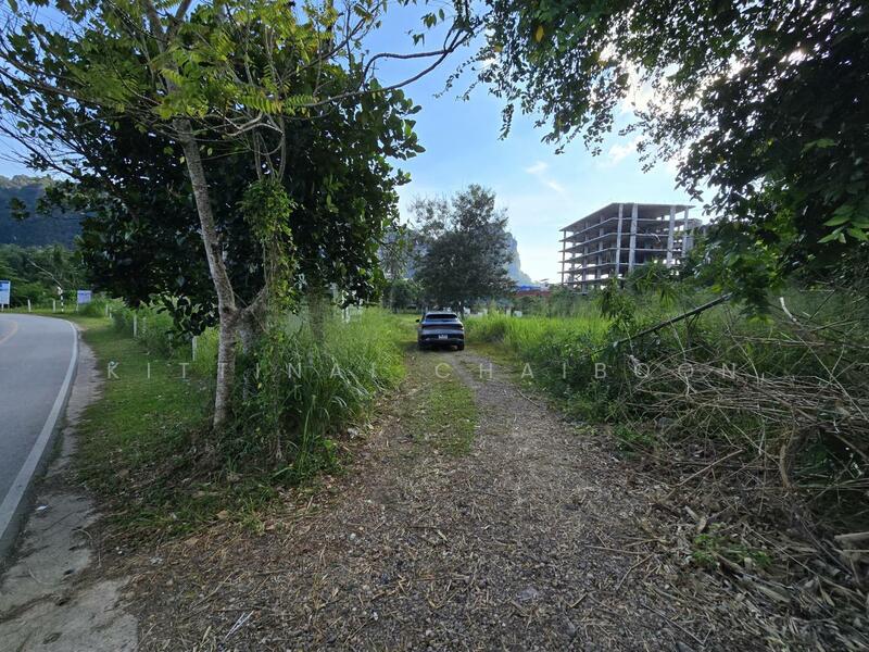 รายละเอียดทางเข้าที่ดิน