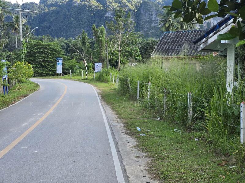 ที่ติดถนนสาธารณะ