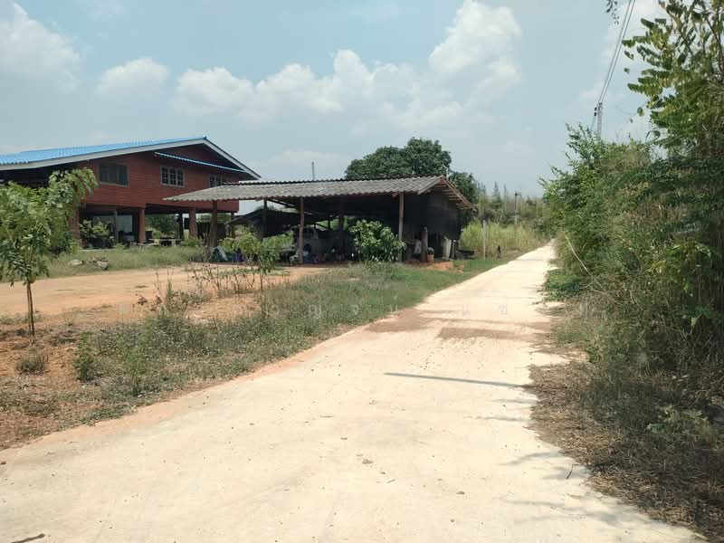 ขาย/ให้เช่า โรงเรือนพร้อมที่ดินโฉนด แปลงมุม 7 ไร่ วิวเขากระทิงสวย ไฟฟ้า ประปาพร้อม ท่อเกษตรถึงในที, Phetchaburi, 3349, Nong Ya Plong, Phetchaburi, , 11,200 sqm, Land For Sale, by Phakakarn Sae-chung, 3779135 - DDproperty.com