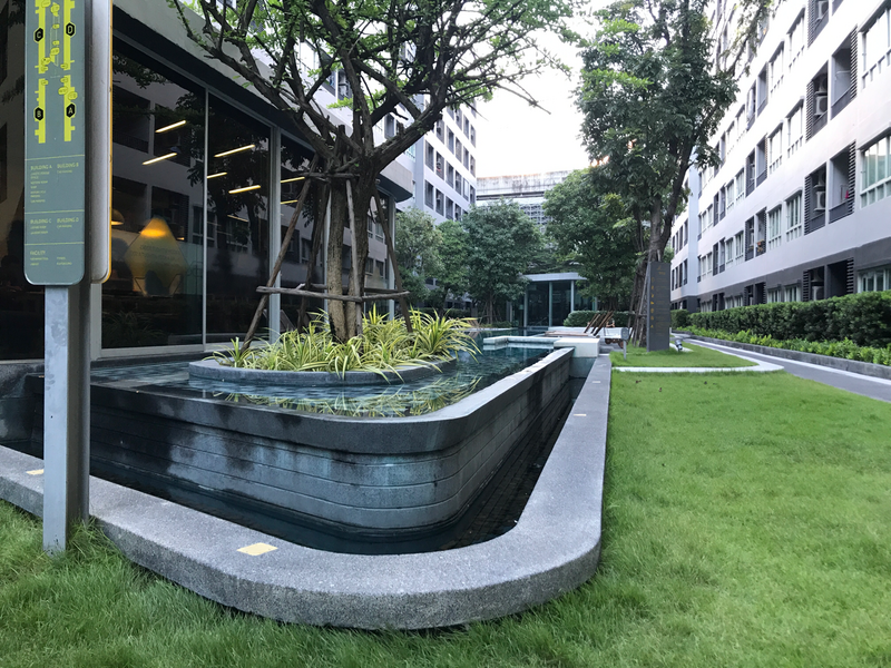 Elio Sukhumvit 64 : เอลลิโอ สุขุมวิท 64, Bangkok, 99 ซอยสุขุมวิท 64, Bang Chak, Phra Khanong, Bangkok, 1 Bedroom, 30 sqm, Condo For Sale, by chanwit chokbundit, 3843710 - DDproperty.com