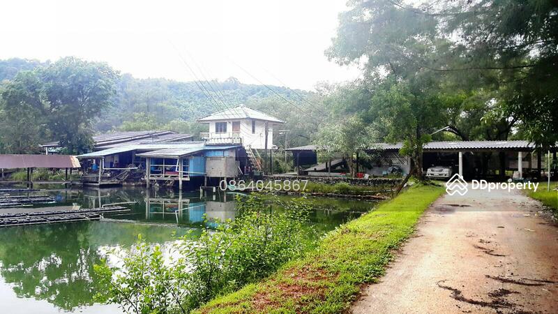 For Sale - ขายที่ดินติดทะเลพร้อมบ้านและกิจการปูนิ่ม งดนายหน้า พร้อมดำเนินการ