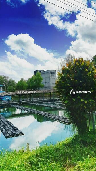 For Sale - ขายที่ดินติดทะเลพร้อมบ้านและกิจการปูนิ่ม งดนายหน้า พร้อมดำเนินการ