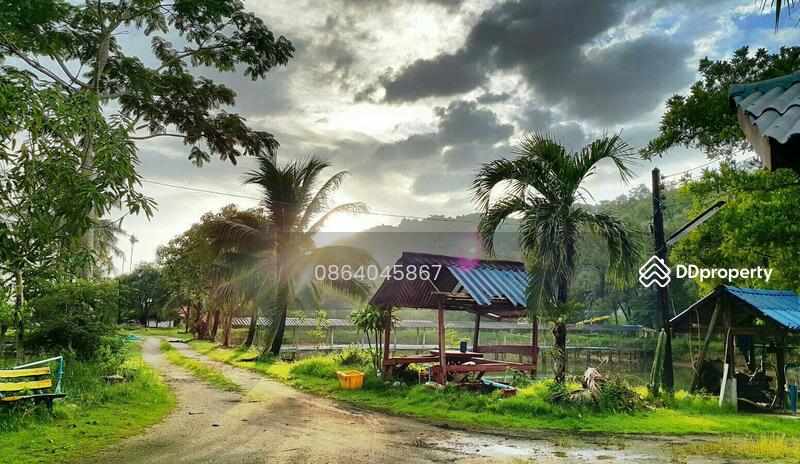 ขายที่ดินติดทะเลพร้อมบ้านและกิจการปูนิ่ม งดนายหน้า พร้อมดำเนินการ, Rural Road Ranong 4010, ปากน้ำ, เมืองระนอง, ระนอง, 17,696 ตร.ม., ที่ดิน ขาย, โดย กนกนาถ บวรอธิภัทร์, 3876935 - DDproperty.com