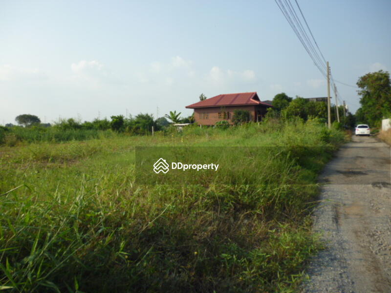 ขาย - ที่ดิน 200 ตรว.วัดราชโกษา, กรุงเทพ
