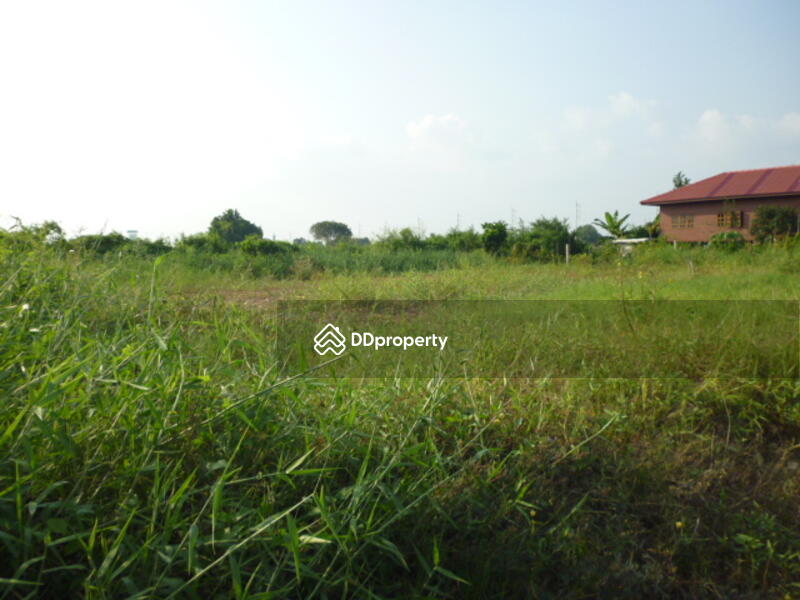 ขาย - ที่ดิน 200 ตรว.วัดราชโกษา, กรุงเทพ