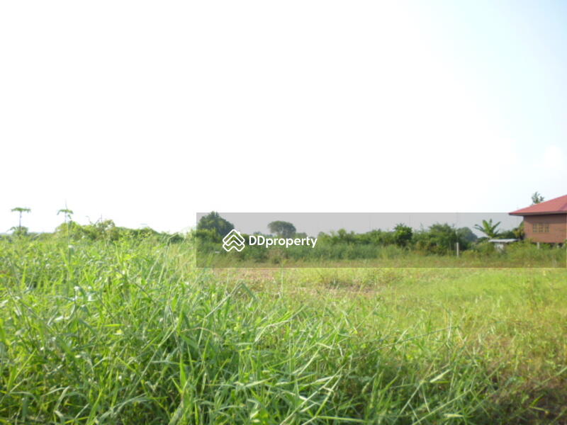ขาย - ที่ดิน 200 ตรว.วัดราชโกษา, กรุงเทพ