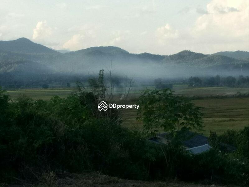 House on 7 rais for sale only 2 million baht, Kamphaeng Phet, สายเอเซีย, Khlong Lan Phatthana, Klong Lan, Kamphaeng Phet, 2 Bedrooms, 200 sqm, Single Detached House For Sale, by Ratana Chatthinawat, 3892523 - DDproperty.com