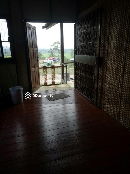 House on 7 rais for sale only 2 million baht, Kamphaeng Phet, สายเอเซีย, Khlong Lan Phatthana, Klong Lan, Kamphaeng Phet, 2 Bedrooms, 200 sqm, Single Detached House For Sale, by Ratana Chatthinawat, 3892523 - DDproperty.com