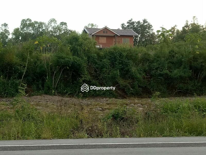 ขายบ้านพร้อมที่ดิน 7 ไร่ อ.คลองลาน กำแพงเพชร 2 ล้าน, กำแพงเพชร, สายเอเซีย, คลองลานพัฒนา, คลองลาน, กำแพงเพชร, 200 ตร.ม., บ้านเดี่ยว ขาย, โดย Ratana Chatthinawat, 3892523 - DDproperty.com