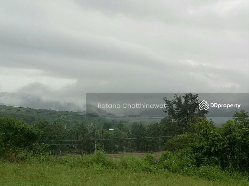 ขายบ้านพร้อมที่ดิน 7 ไร่ อ.คลองลาน กำแพงเพชร 2 ล้าน, กำแพงเพชร, สายเอเซีย, คลองลานพัฒนา, คลองลาน, กำแพงเพชร, 200 ตร.ม., บ้านเดี่ยว ขาย, โดย Ratana Chatthinawat, 3892523 - DDproperty.com