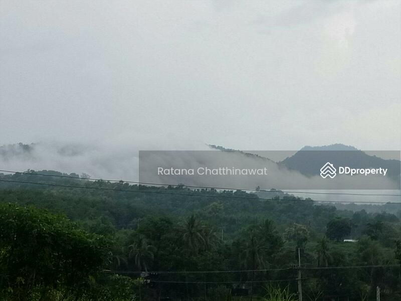 House on 7 rais for sale only 2 million baht, Kamphaeng Phet, สายเอเซีย, Khlong Lan Phatthana, Klong Lan, Kamphaeng Phet, 2 Bedrooms, 200 sqm, Single Detached House For Sale, by Ratana Chatthinawat, 3892523 - DDproperty.com