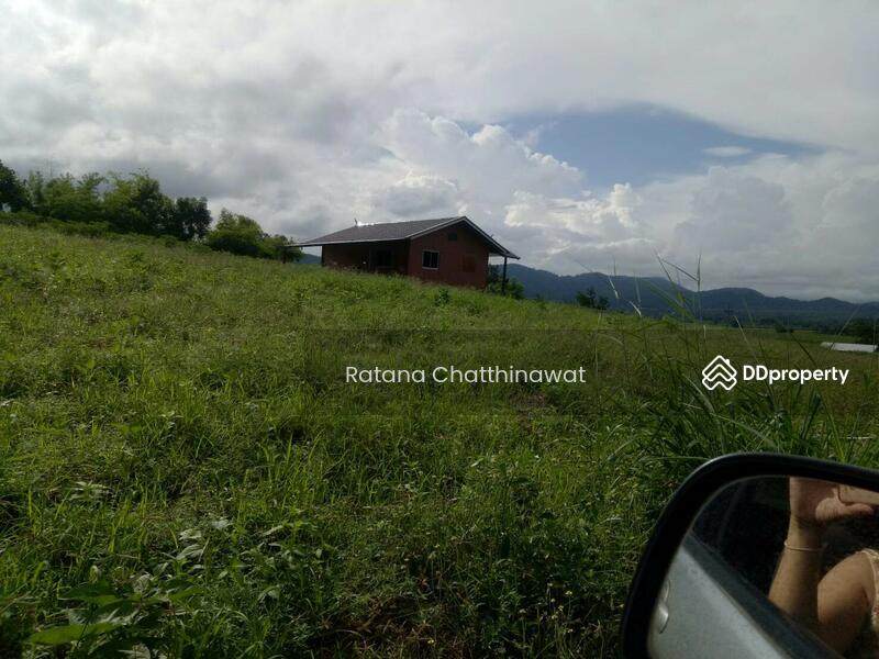 House on 7 rais for sale only 2 million baht, Kamphaeng Phet, สายเอเซีย, Khlong Lan Phatthana, Klong Lan, Kamphaeng Phet, 2 Bedrooms, 200 sqm, Single Detached House For Sale, by Ratana Chatthinawat, 3892523 - DDproperty.com