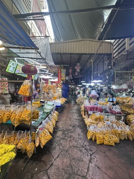 Chaiyo Building, Bangkok, 74/38 Chakphet Road, Wang Burapaphirom, Phra Nakhon, Bangkok, , 828 sqm, Shophouse For Sale, by สิริชัย เหลือบุญชู, 3951677 - DDproperty.com