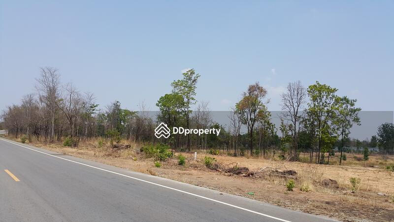 Land adjacent to paved road ChY.3007 near Ban Pong Khong Nuea, Chaiyaphum, ทางหลวงชนบท ชย.3007, Kok Sung, Muang Chaiyaphum, Chaiyaphum, , 20,928 sqm, Land For Sale, by ธีระชัย อมรเพชรสถาพร, 3966443 - DDproperty.com