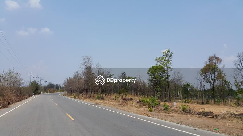 Land adjacent to paved road ChY.3007 near Ban Pong Khong Nuea, Chaiyaphum, ทางหลวงชนบท ชย.3007, Kok Sung, Muang Chaiyaphum, Chaiyaphum, , 20,928 sqm, Land For Sale, by ธีระชัย อมรเพชรสถาพร, 3966443 - DDproperty.com