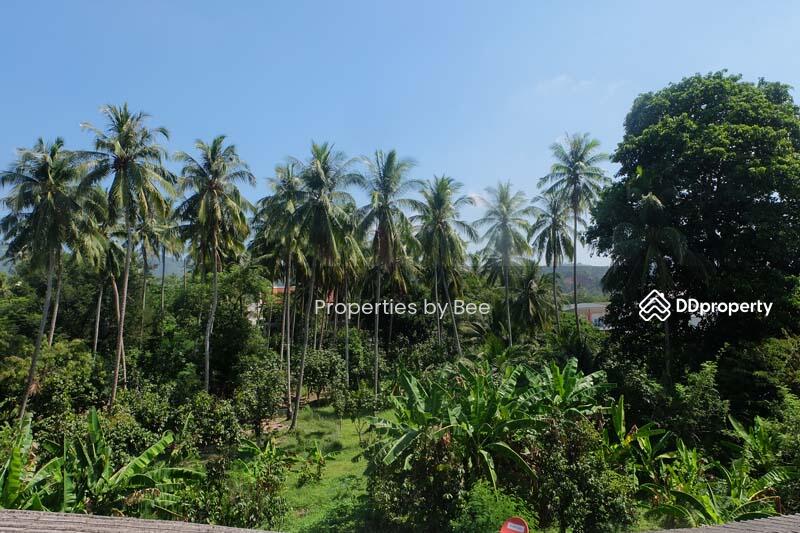 For Rent - One Bedroom Apartment with Garden - Kathu, Phuket