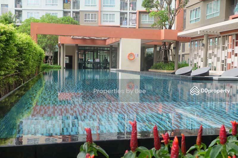 ให้เช่า - Dcondo Kathu-Patong : ดีคอนโด กะทู้-ป่าตอง, ภูเก็ต