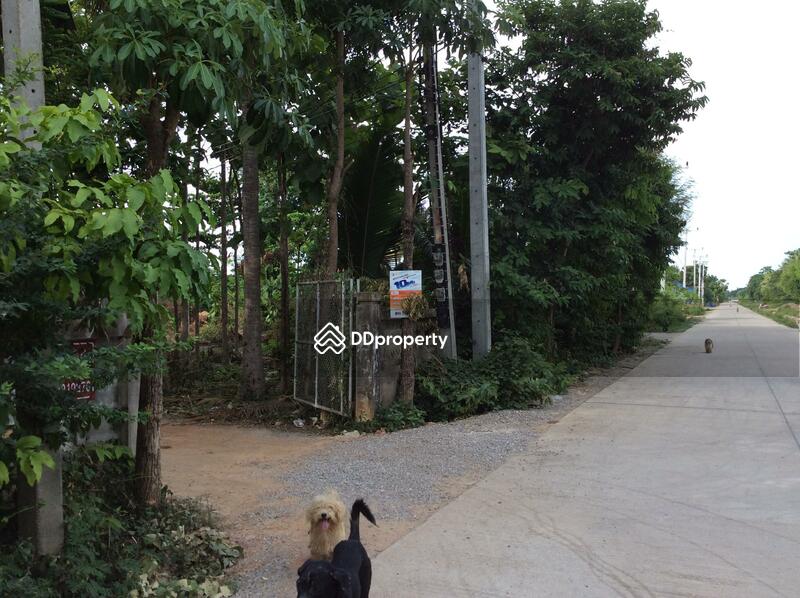 บ้านกลางสระ, Phetchaburi, 97 Unnamed Road, Chong Sakae, Muang Phetchaburi, Phetchaburi, 3 Bedrooms, 200 sqm, Single Detached House For Rent, by Khun Narisa Sansawad, 4110737 - DDproperty.com