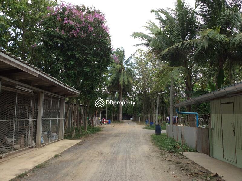 บ้านกลางสระ, เพชรบุรี, 97 Unnamed Road, ช่องสะแก, เมืองเพชรบุรี, เพชรบุรี, 200 ตร.ม., บ้านเดี่ยว ให้เช่า, โดย Khun Narisa Sansawad, 4110737 - DDproperty.com