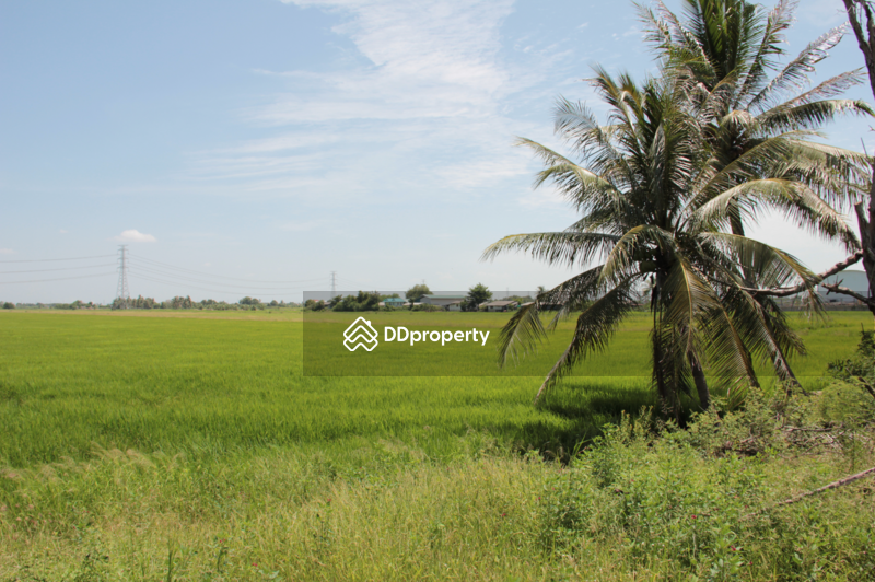 ภาพถ่ายที่ดิน