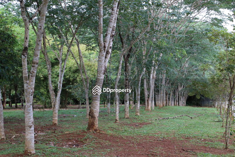 For Sale - ขายบ้านสวยสไตล์ยุโรปเชียงราย พร้อมที่ดิน 5 ไร่, Chiang Rai