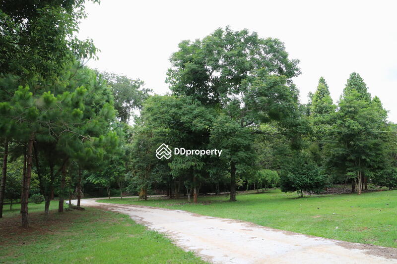 ขาย - ขายบ้านสวยสไตล์ยุโรปเชียงราย พร้อมที่ดิน 5 ไร่, เชียงราย