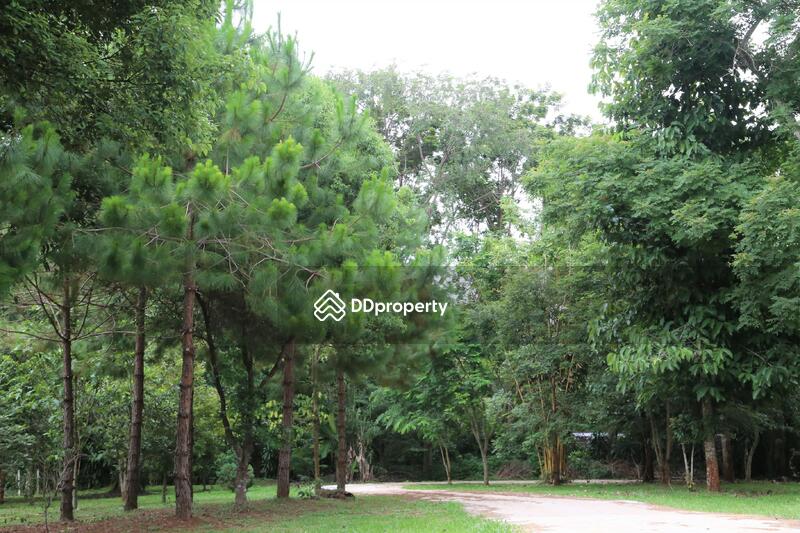 For Sale - ขายบ้านสวยสไตล์ยุโรปเชียงราย พร้อมที่ดิน 5 ไร่, Chiang Rai