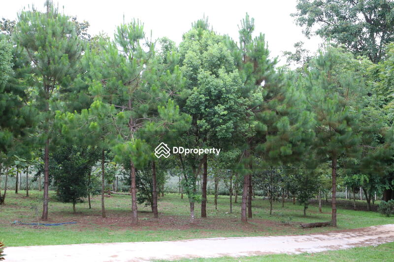 For Sale - ขายบ้านสวยสไตล์ยุโรปเชียงราย พร้อมที่ดิน 5 ไร่, Chiang Rai