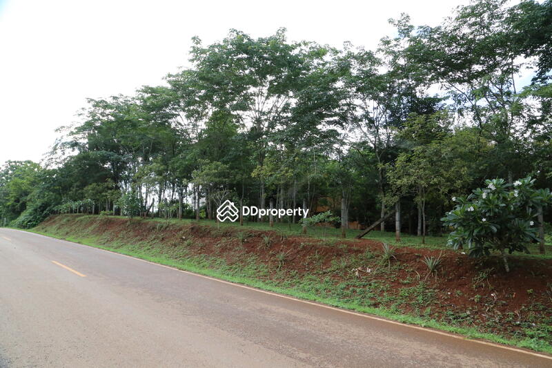 ขาย - ขายบ้านสวยสไตล์ยุโรปเชียงราย พร้อมที่ดิน 5 ไร่, เชียงราย