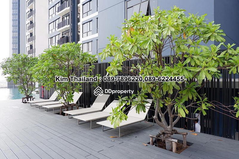 The Tree Interchange : เดอะ ทรี อินเตอร์เชนจ์