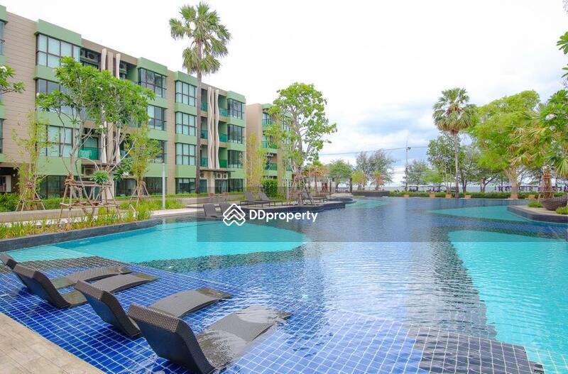 Magnificent swimming pool