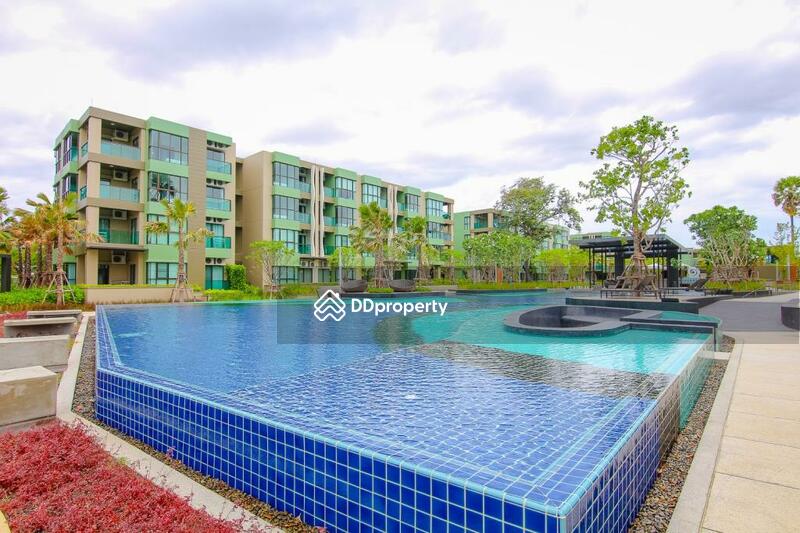 Magnificent swimming pool