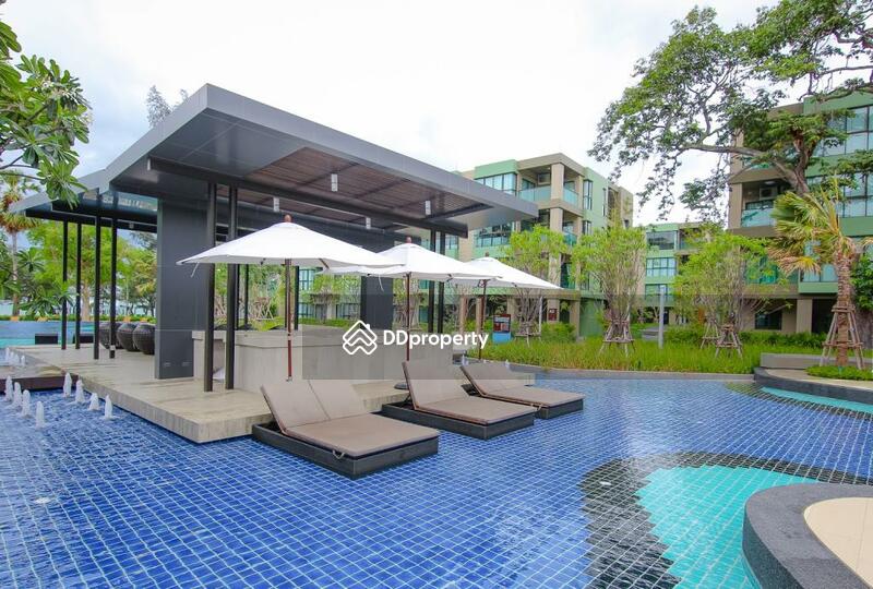 Magnificent swimming pool