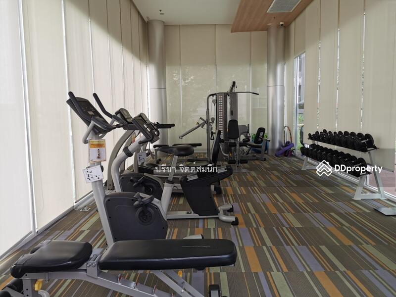 Aspire Rattanatibet 1, Nonthaburi, 678 Rattanathibet Road, Bang Kra So, Muang Nonthaburi, Nonthaburi, 1 Bedroom, 31 sqm, Condo For Rent, by ปรีชา จิตต์สมนึก, 459164 - DDproperty.com