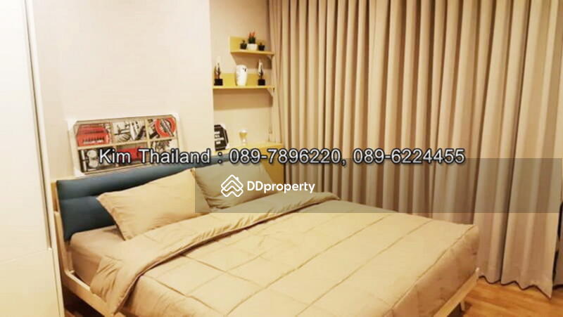 The Coast : เดอะ โคสต์