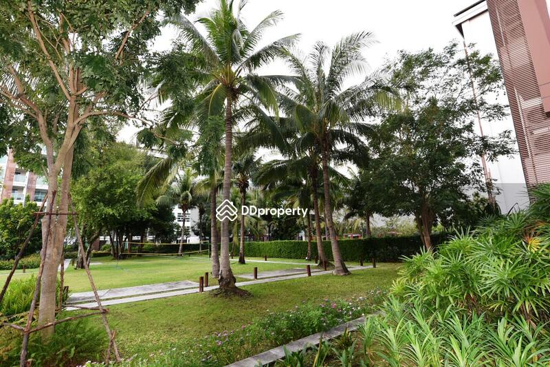 Amari Residences Hua Hin : อมารี เรสซิเดนซ์ หัวหิน, ประจวบคีรีขันธ์, ซอยหัวหิน 87, หนองแก, หัวหิน, ประจวบคีรีขันธ์, 52 ตร.ม., คอนโด ให้เช่า, โดย Orachorn Khamluan, 4638017 - Fully fitted open kitchen - DDproperty.com