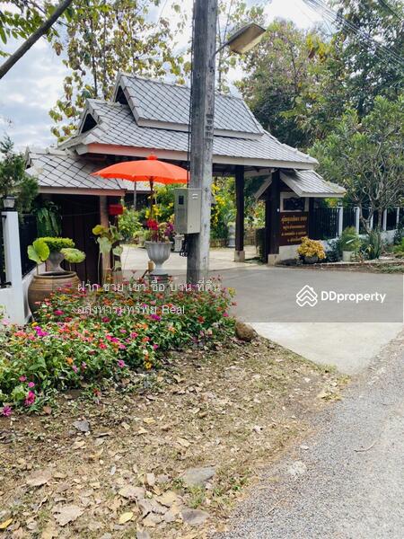 ขาย - ลดอีก 2 ล้าน! ขายบ้านพักตากอากาศสไตล์ล้านนา เลขที่ 999 ใกล้น้ำพุร้อนสันกำแพง 1-2-63 ไร่ แม่ออน ชมVDO, เชียงใหม่