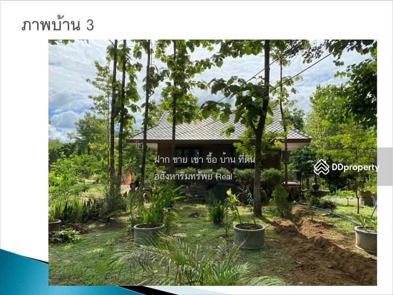ขาย - ลดอีก 2 ล้าน! ขายบ้านพักตากอากาศสไตล์ล้านนา เลขที่ 999 ใกล้น้ำพุร้อนสันกำแพง 1-2-63 ไร่ แม่ออน ชมVDO, เชียงใหม่