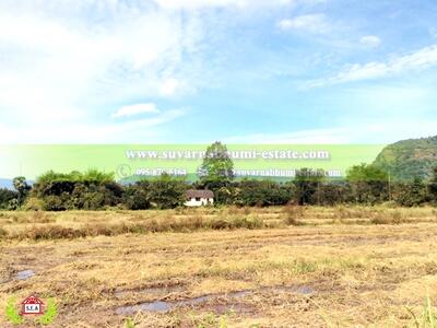 ขาย - ขาย ที่ดิน 19 ไร่ 56.8 ตารางวา เนินหอม ปราจีนบุรี, ปราจีนบุรี