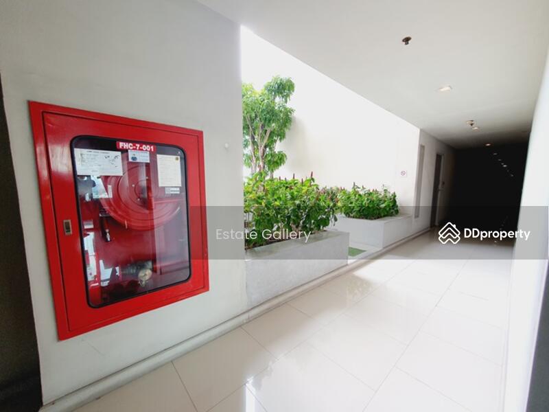 IDEO Blucove Sukhumvit : ไอดีโอ บลูโคฟ สุขุมวิท, กรุงเทพ, 2952 ถนนสุขุมวิท, บางนา, กรุงเทพ, 47 ตร.ม., คอนโด ให้เช่า, โดย Estate Gallery, 4860449 - DDproperty.com