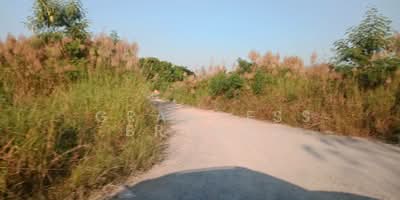 ขาย - ขายที่ดินเปล่า 90 ตารางวา สมุทรปราการ ซอยมหาชัย2 (ถนนบางนา-ตราดกม.8 ), สมุทรปราการ