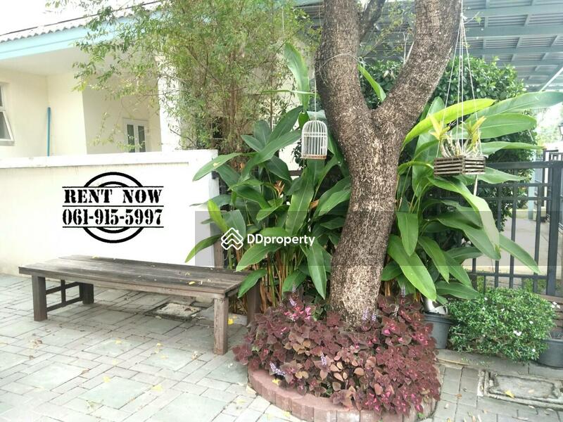 Nantawan Sathorn-Ratchaphruek., Bangkok, ราชพฤกษ์, Bang Ra Mat, Taling Chan, Bangkok, 3 Bedrooms, 250 sqm, Single Detached House For Rent, by wirattanun leemakul Mew, 4946810 - DDproperty.com